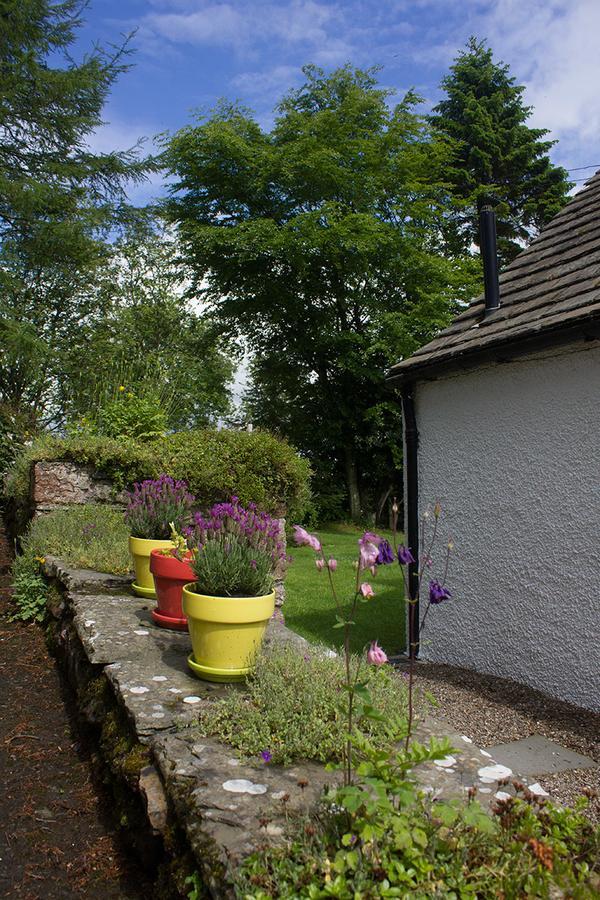 Druminoch Region Region Angus Exterior foto