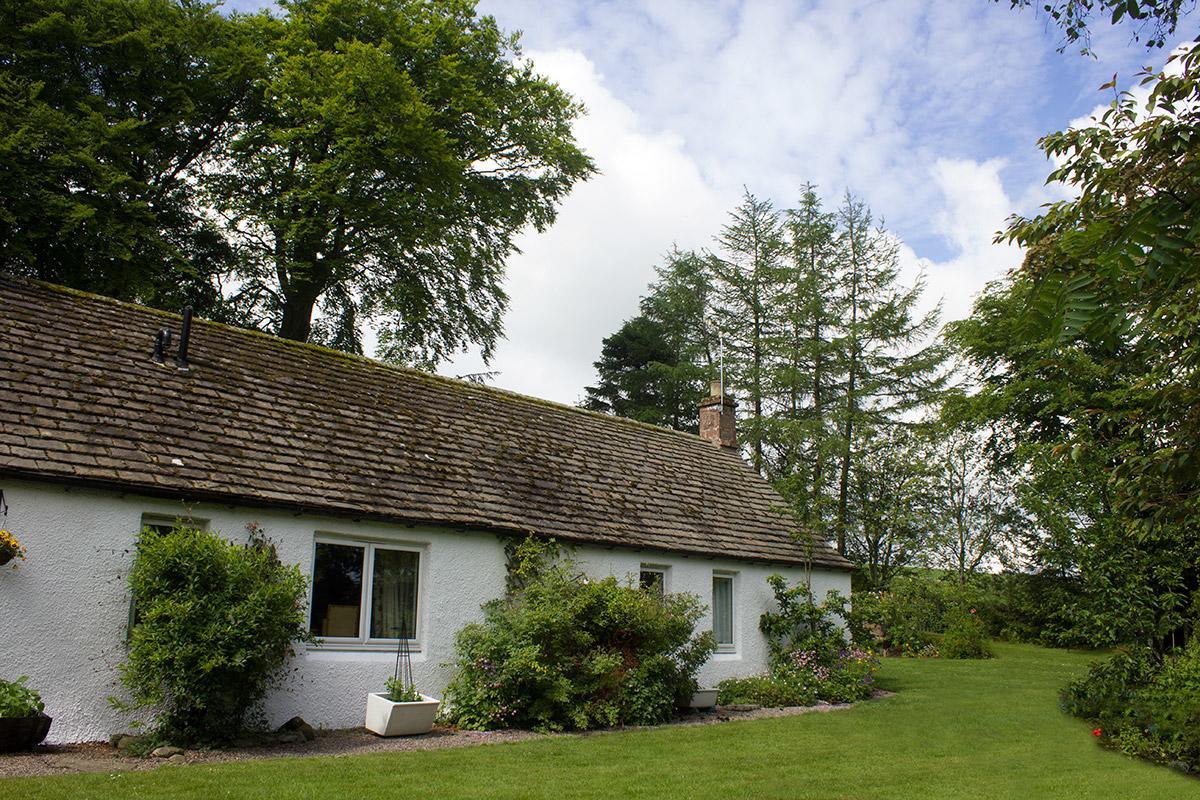 Druminoch Region Region Angus Exterior foto